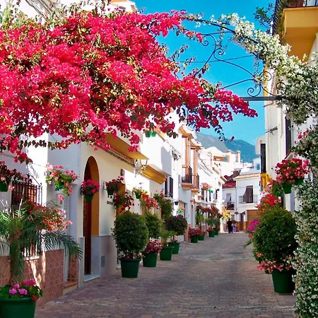 Orquideas Apartment Estepona